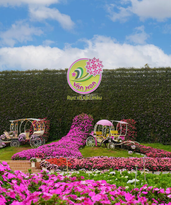 Vườn hoa ngoài trời