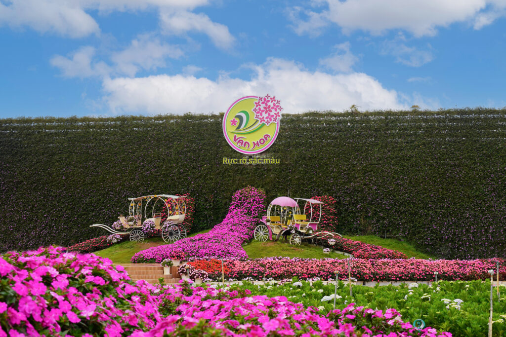 Vạn Hoa Đà Lạt flower carpets