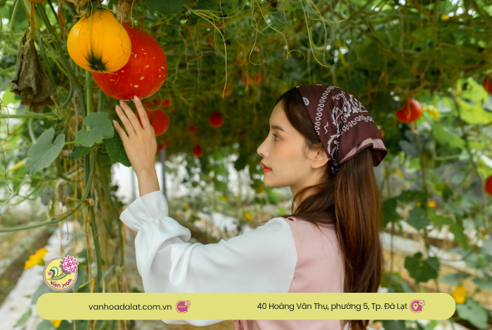 Khu Canh Nông – Trải Nghiệm Nông Nghiệp Công Nghệ Cao Tại Đà Lạt