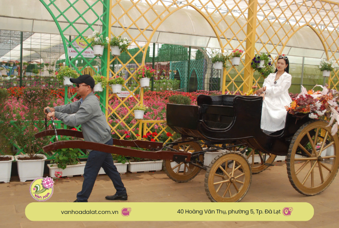 Vườn hoa trong nhà - khu du lịch Vạn Hoa Đà Lạt.
