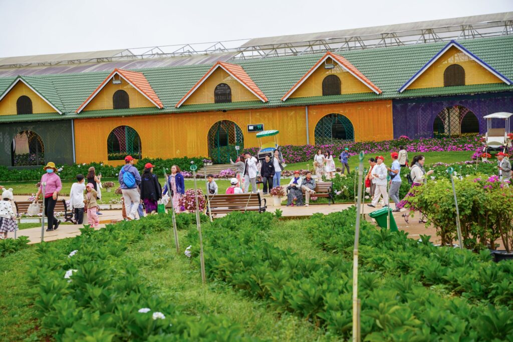 Địa điểm check-in hot nhất Đà Lạt cho khách quốc tế