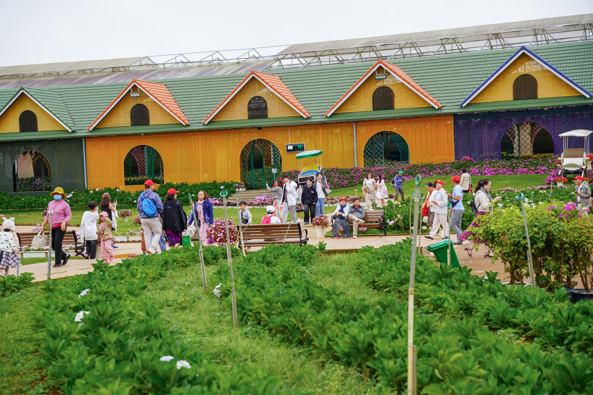 Địa điểm check-in hot nhất Đà Lạt cho khách quốc tế