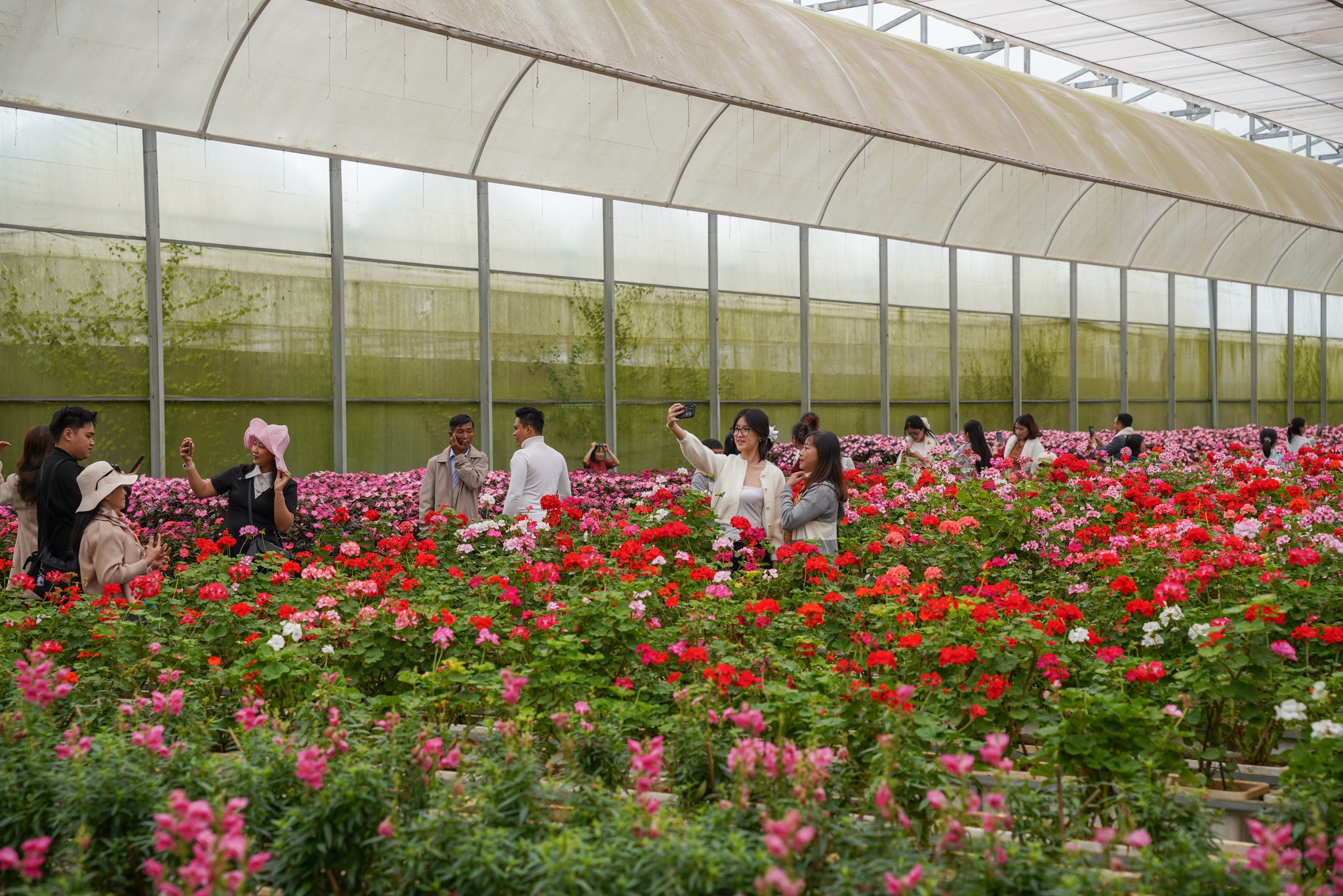 Địa điểm check-in hot nhất Đà Lạt cho khách quốc tế