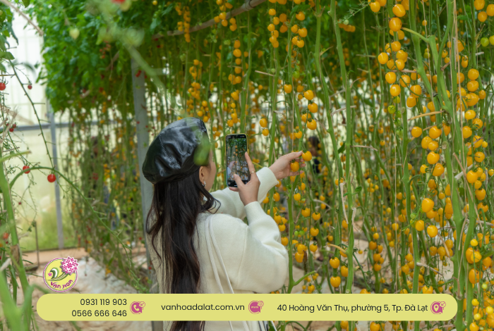 Khu du lịch Vạn Hoa Đà Lạt: Địa điểm lý tưởng cho tour đoàn, du khách lớn tuổi