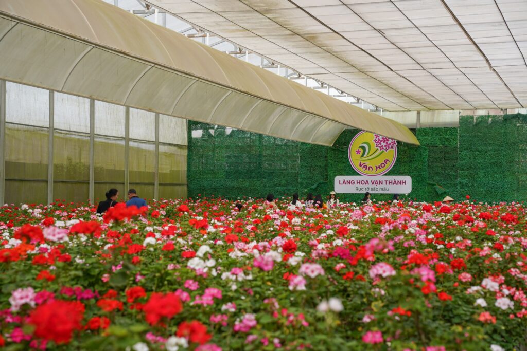 Gợi ý tour du lịch Đà Lạt nhẹ nhàng cho khách lớn tuổi