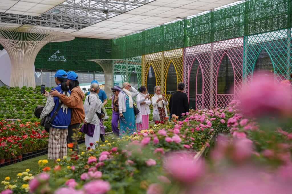 Gợi ý tour du lịch Đà Lạt nhẹ nhàng cho khách lớn tuổi