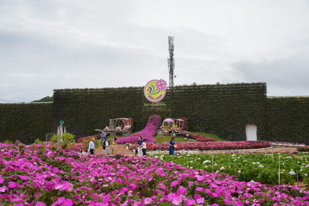 Gợi ý tour du lịch Đà Lạt nhẹ nhàng cho khách lớn tuổi