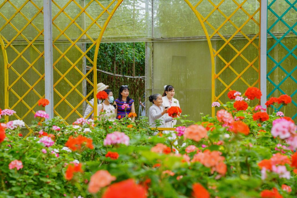 Gợi ý tour du lịch Đà Lạt nhẹ nhàng cho khách lớn tuổi