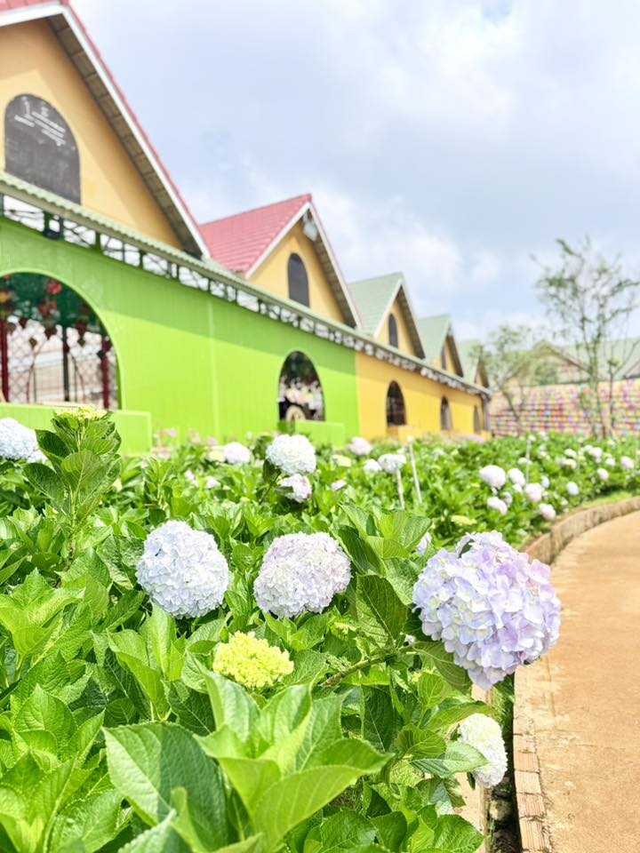 Nghệ thuật nhiếp ảnh tại Đà Lạt dưới ống kính của các nhiếp ảnh gia