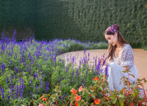 Van Hoa Da Lat Tourist Area: A Must-Visit Floral Paradise in Da Lat