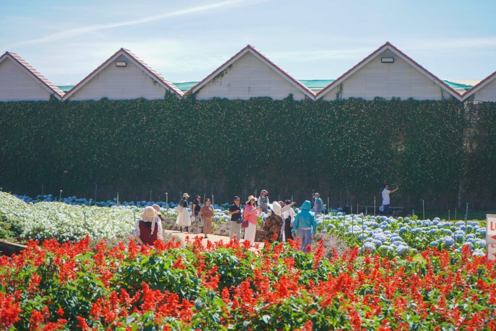 Check-in 25 vườn hoa nổi tiếng ở Đà Lạt – Trải nghiệm sắc hoa bốn mùa