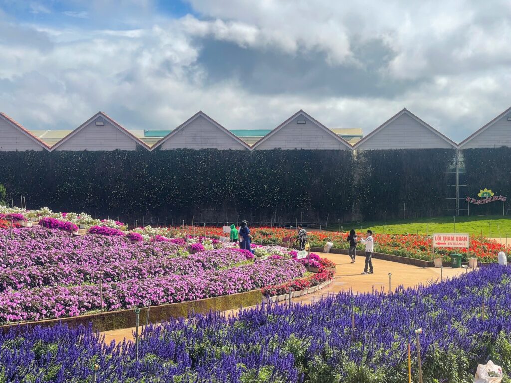Check-in 25 vườn hoa nổi tiếng ở Đà Lạt – Trải nghiệm sắc hoa bốn mùa