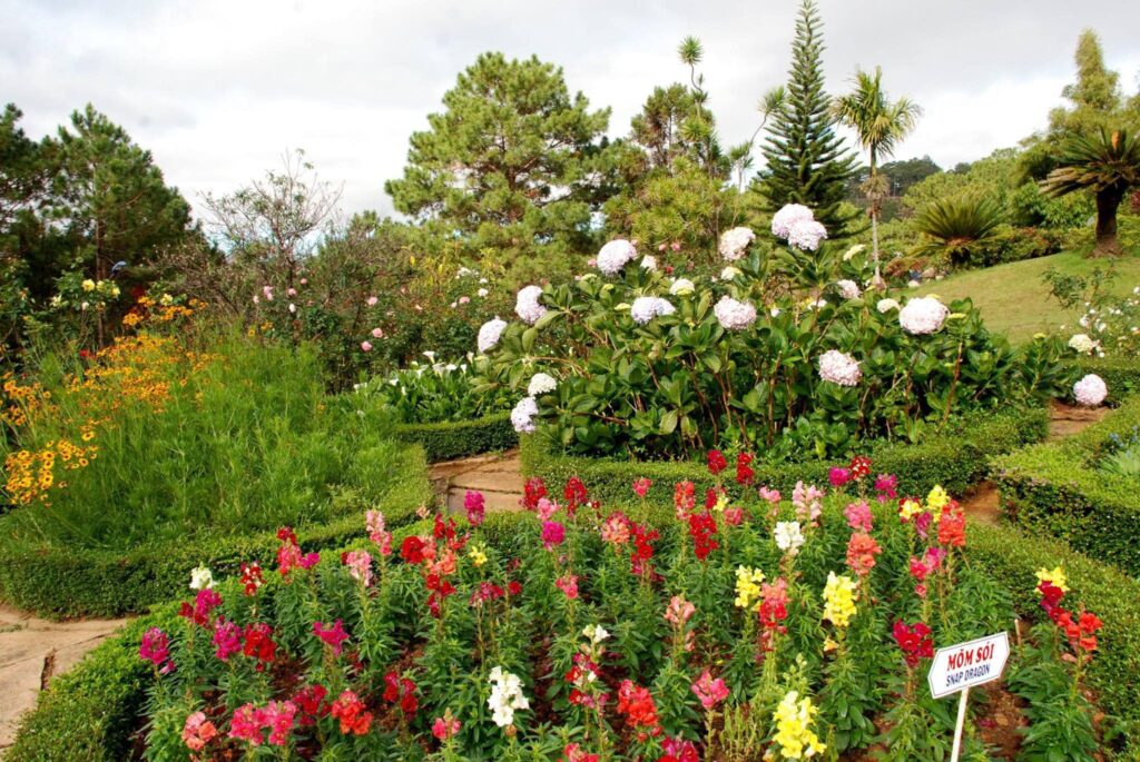 Check-in 25 vườn hoa nổi tiếng ở Đà Lạt – Trải nghiệm sắc hoa bốn mùa