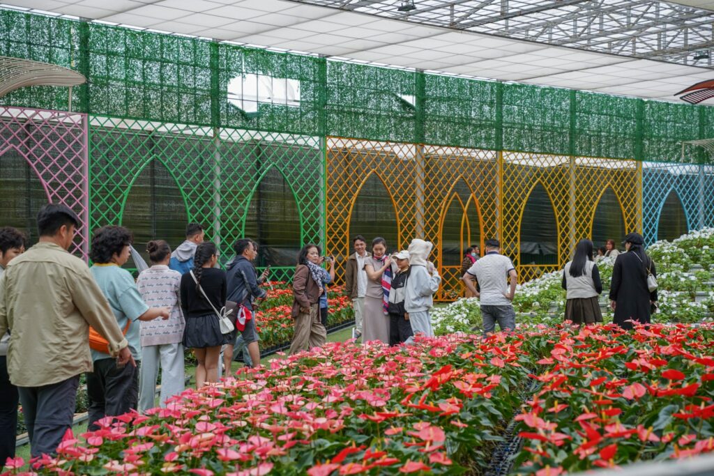 Tổng hợp những địa điểm ăn chơi ở Đà Lạt: Review đầy đủ nhất.