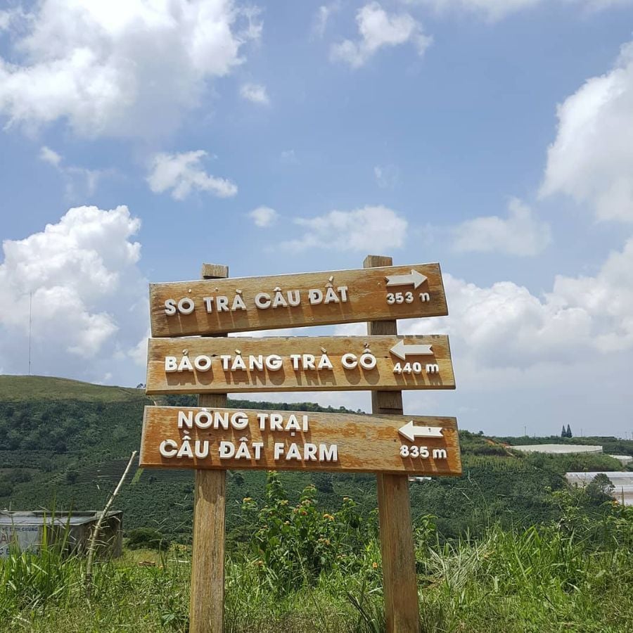 Tổng hợp những địa điểm ăn chơi ở Đà Lạt: Review đầy đủ nhất.