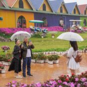 Khám phá du lịch Đà Lạt mùa mưa, những điều đặc biệt đang chờ bạn