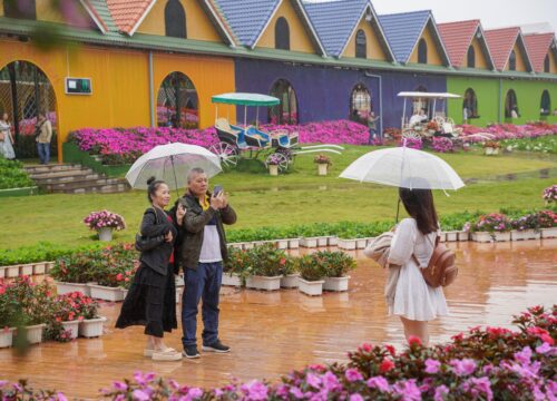 Trải nghiệm du lịch Đà Lạt mùa mưa, những điều đặc biệt đang chờ bạn