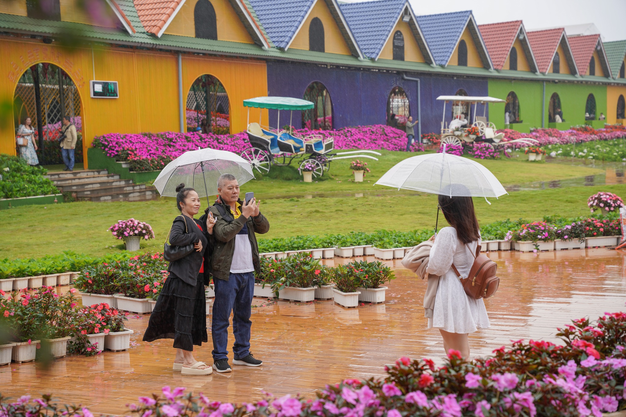 Khám phá du lịch Đà Lạt mùa mưa, những điều đặc biệt đang chờ bạn