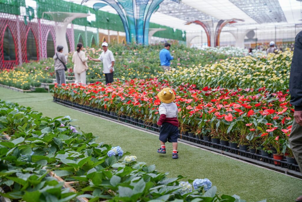 Khám phá du lịch Đà Lạt mùa mưa, những điều đặc biệt đang chờ bạn