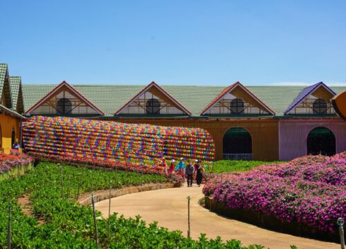 Kinh nghiệm du lịch Đà Lạt tháng 12