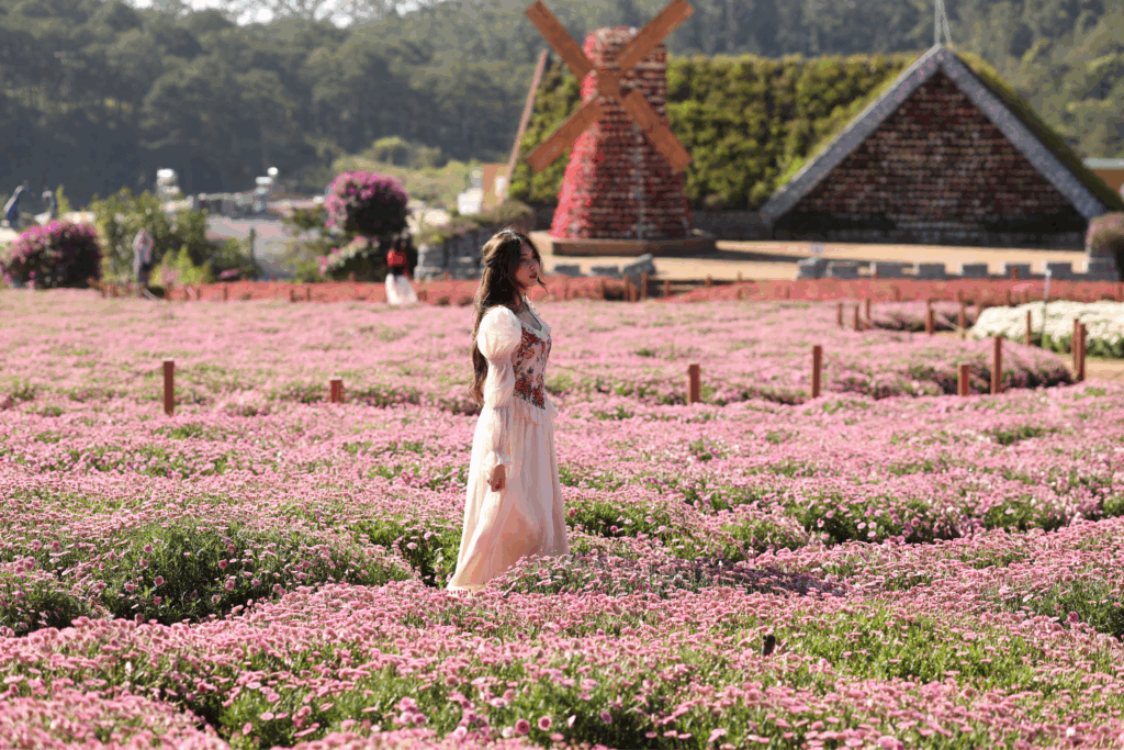 Top 10 khu du lịch gần trung tâm Đà Lạt đẹp nhất không nên bỏ lỡ