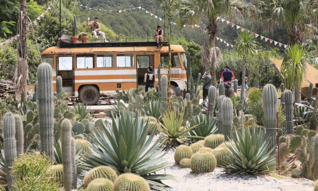 Top 10 khu du lịch gần trung tâm Đà Lạt đẹp nhất không nên bỏ lỡ