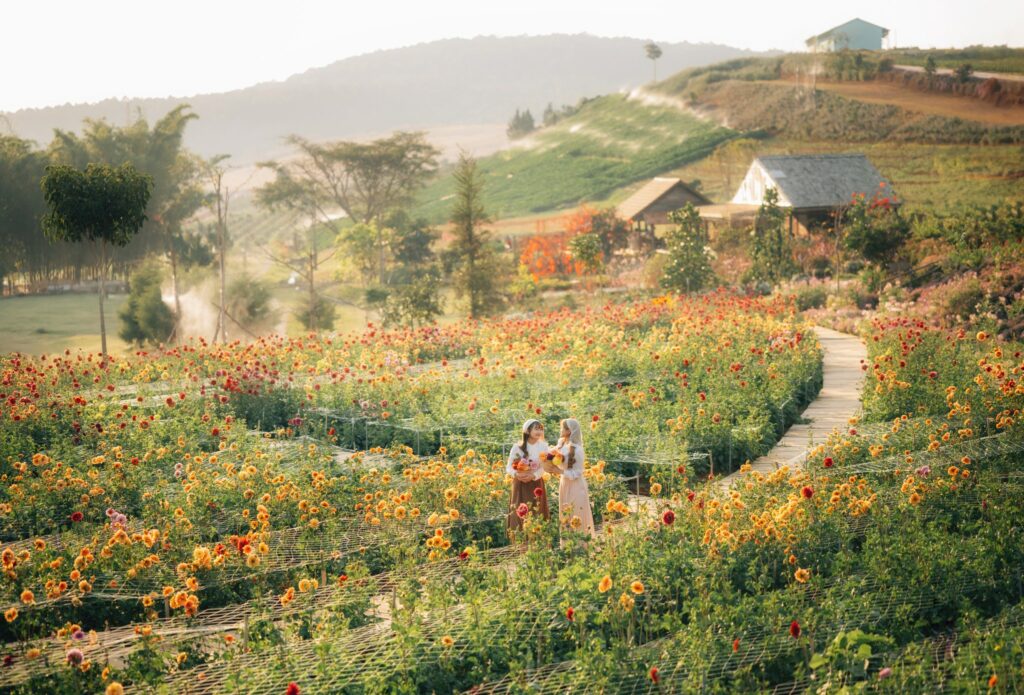 Top 10 khu du lịch gần trung tâm Đà Lạt đẹp nhất không nên bỏ lỡ