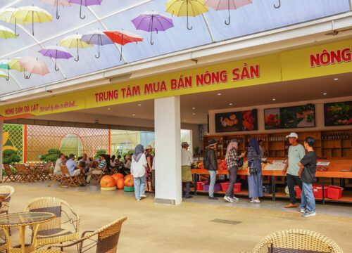 Kinh nghiệm mua đặc sản Đà Lạt: Bí quyết chọn quà ngon, giá chuẩn
