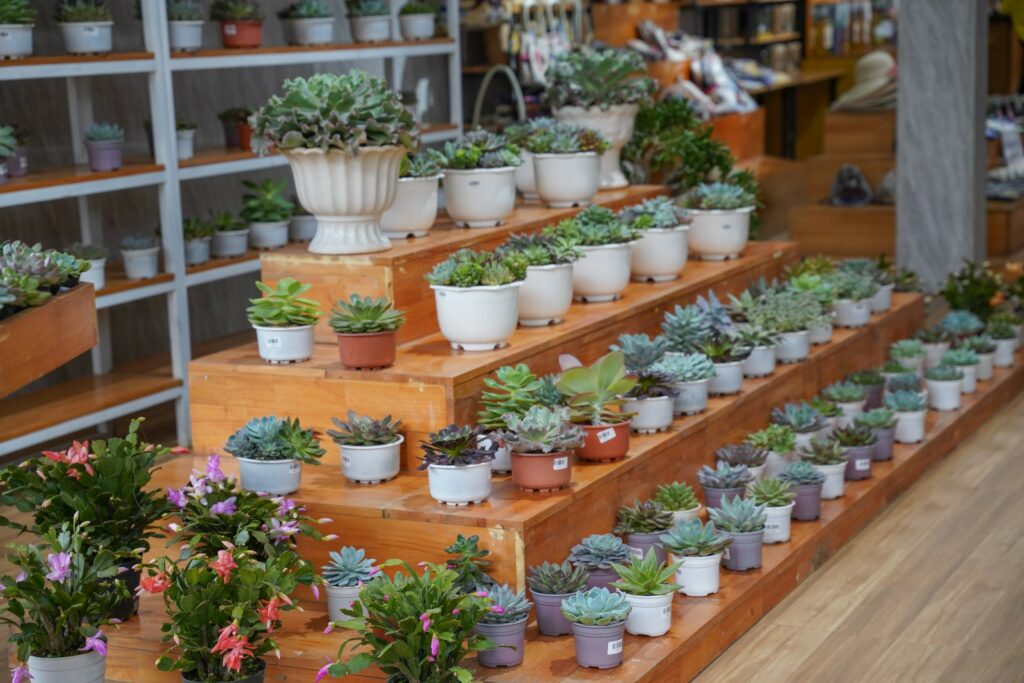 Kinh nghiệm mua đặc sản Đà Lạt giúp bạn chọn quà đúng chuẩn