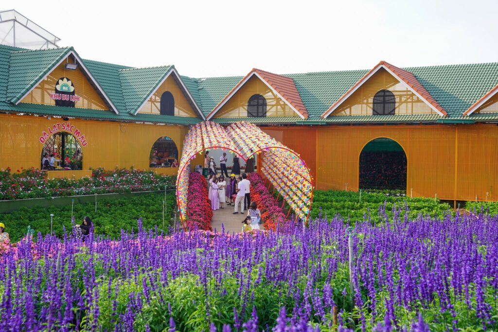 Tổ chức team building ở Đà Lạt: Địa điểm, kinh nghiệm và lựa chọn lý tưởng cho doanh nghiệp