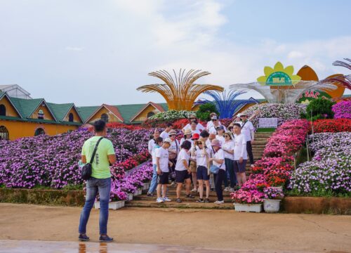 Địa điểm tổ chức team building ở Đà Lạt, lựa chọn lý tưởng cho doanh nghiệp