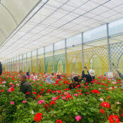 Gợi ý tour Đà Lạt cho khách Trung Quốc