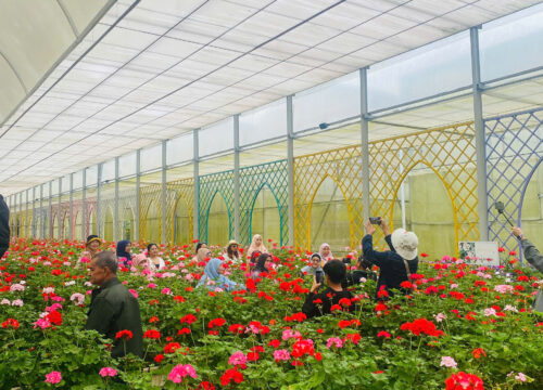 Du lịch Đà Lạt tết dương lịch là thời điểm đẹp nhất để “F5” lại tinh thần