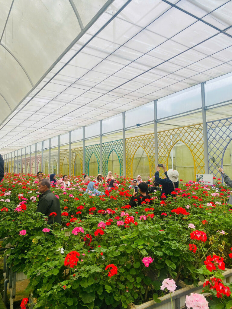 Gợi ý tour Đà Lạt cho khách Trung Quốc