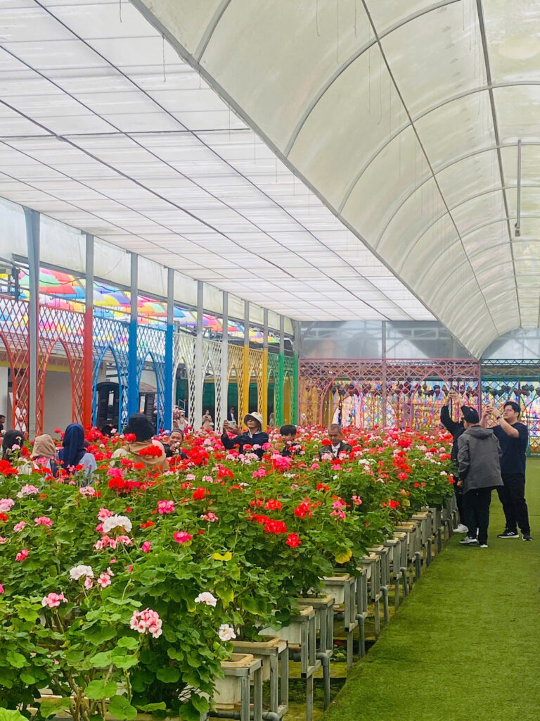 Tour tham quan nông trại cho học sinh cấp 3 tại Đà Lạt trọn gói