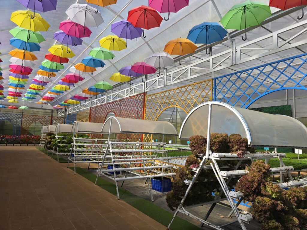 Du lịch Đà Lạt dịp cuối năm, mùa của sương, hoa và lễ hội