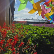 Du lịch Đà Lạt dịp cuối năm, mùa của sương, hoa và lễ hội