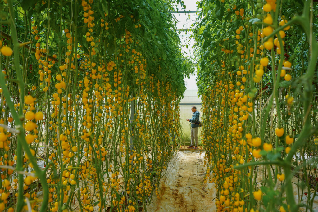 Du lịch sinh thái tại Đà Lạt