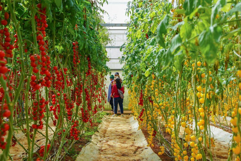 Du lịch sinh thái tại Đà Lạt