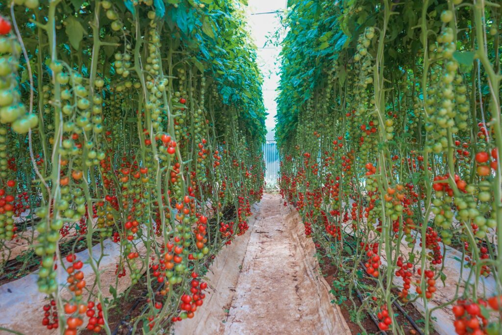 Du lịch sinh thái tại Đà Lạt