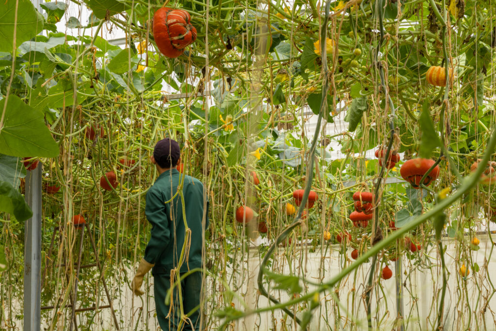 Du lịch sinh thái tại Đà Lạt