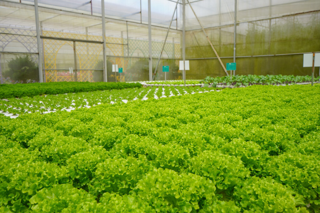 Du lịch sinh thái tại Đà Lạt