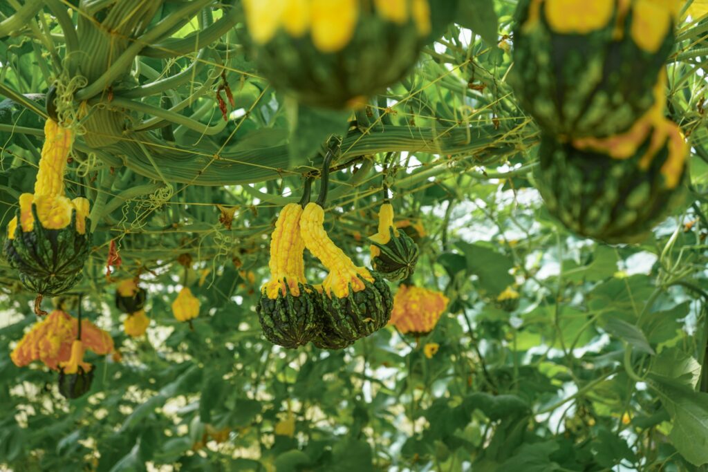 Du lịch sinh thái tại Đà Lạt