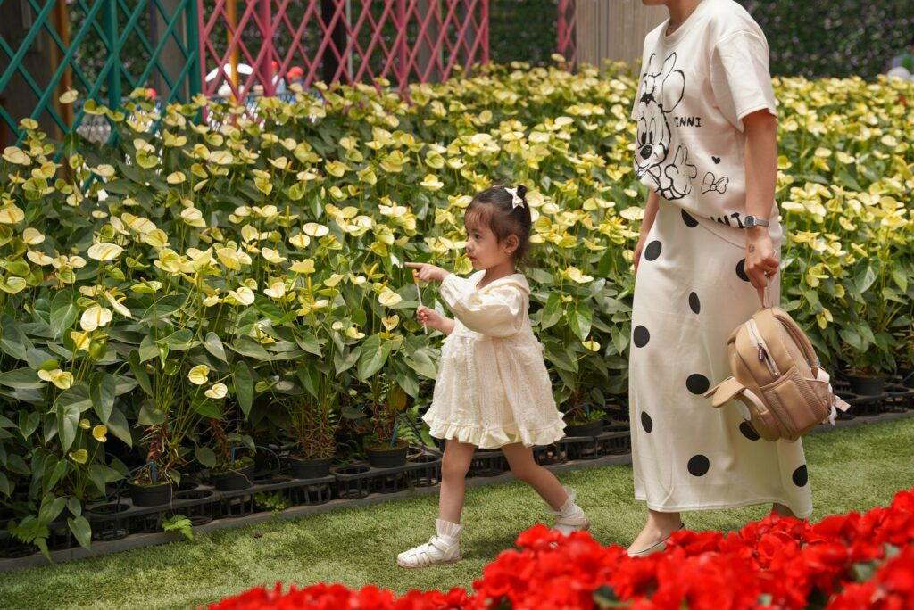 Miễn phí vé cho trẻ mầm non khi tham quan KDL Vạn Hoa Đà Lạt