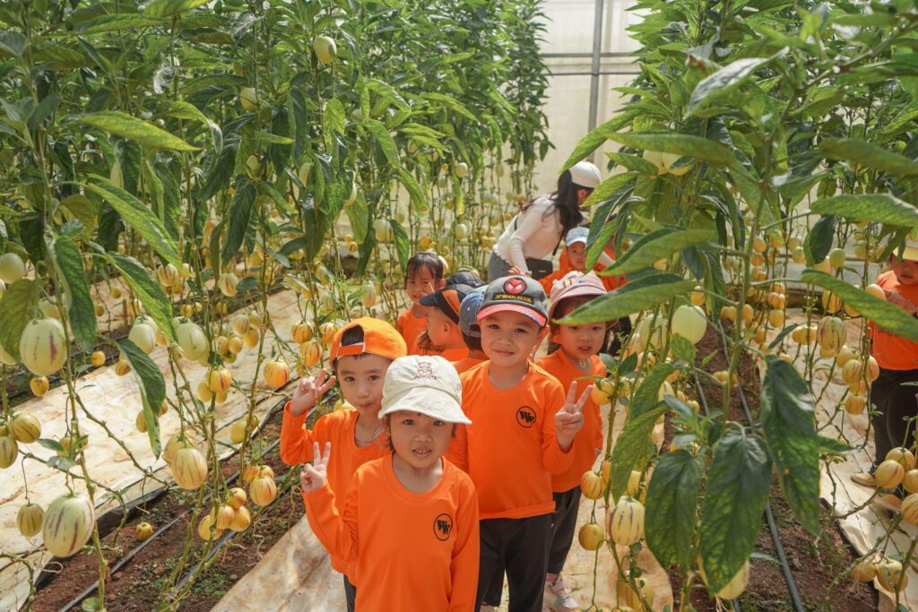 Miễn phí vé cho trẻ mầm non khi tham quan KDL Vạn Hoa Đà Lạt