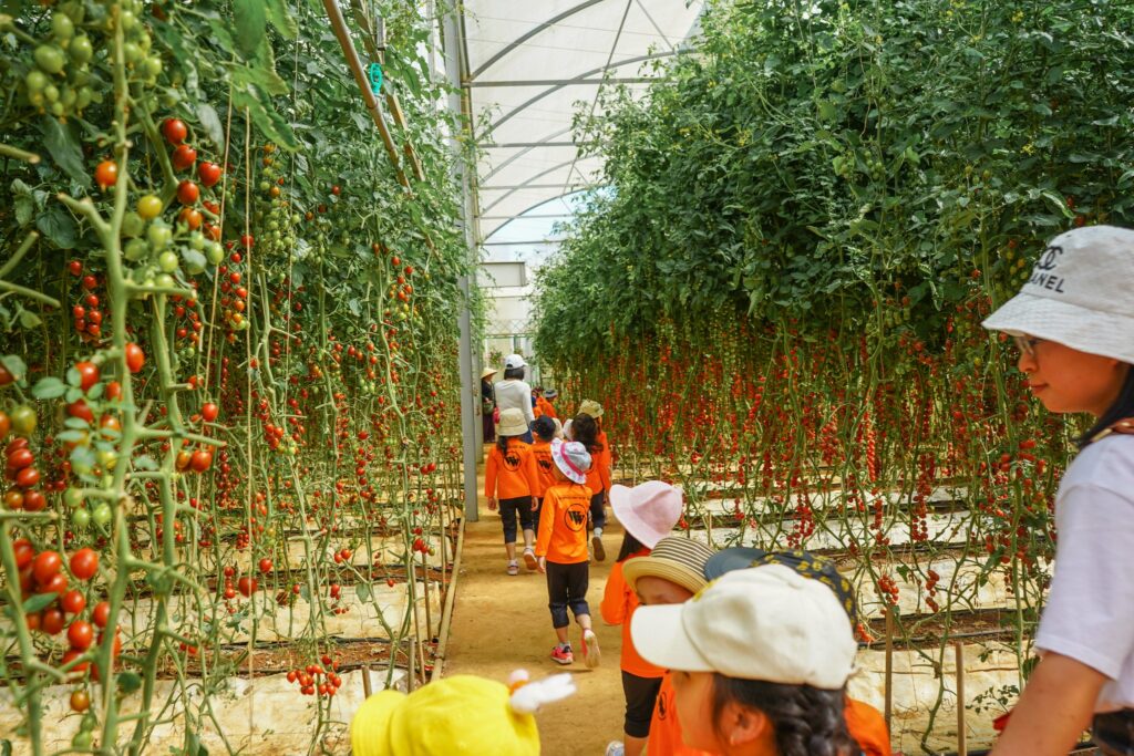 Miễn phí vé cho trẻ mầm non khi tham quan KDL Vạn Hoa Đà Lạt