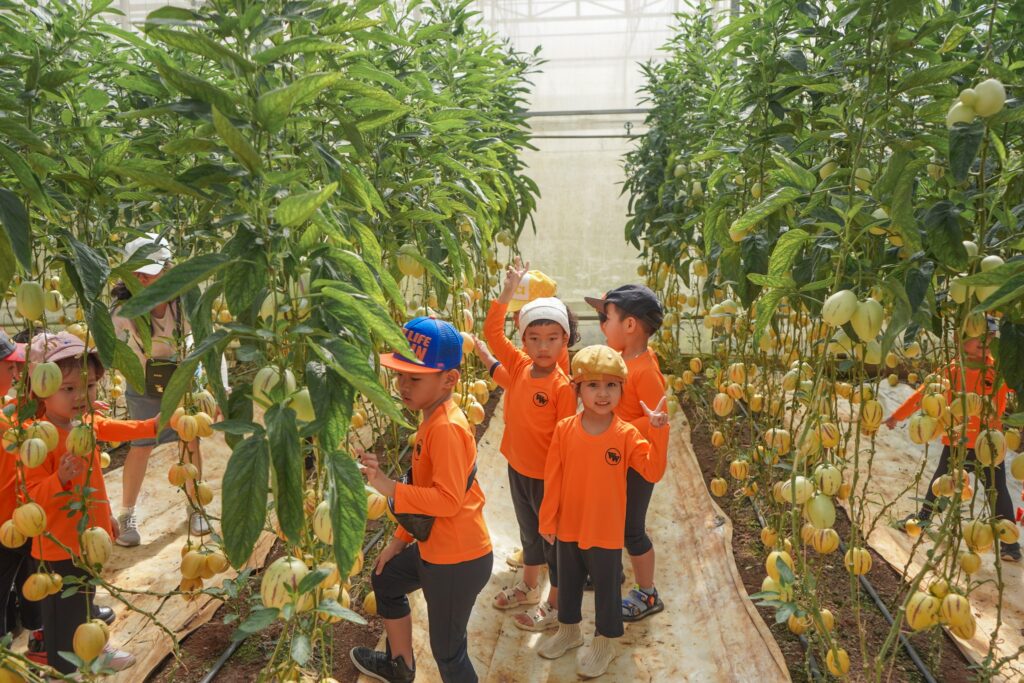 Miễn phí vé cho trẻ mầm non khi tham quan KDL Vạn Hoa Đà Lạt