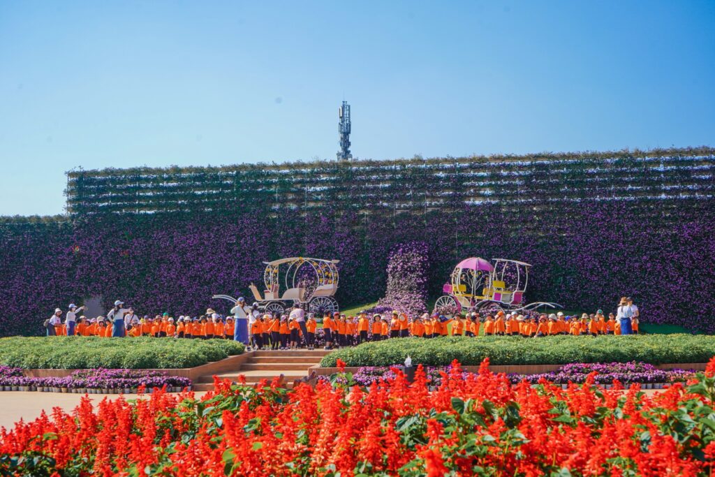 Những mùa hoa đẹp nhất ở Đà Lạt – Khi thành phố ngàn hoa thay áo bốn mùa