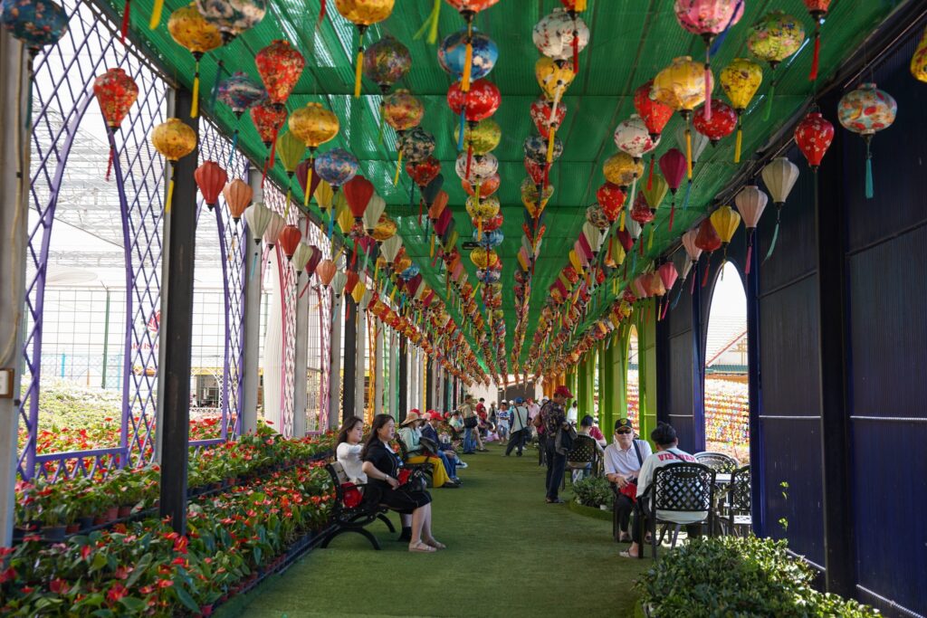 Quán cafe đẹp ở Đà Lạt được yêu thích nhất hiện nay