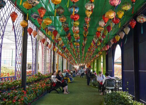 22 Quán cafe đẹp ở Đà Lạt được yêu thích nhất hiện nay